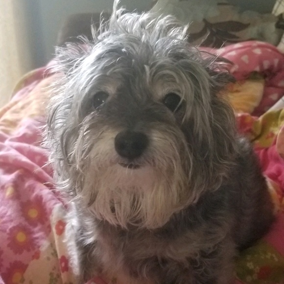 Meet your Posher, Carrie - Picture 1 of 1